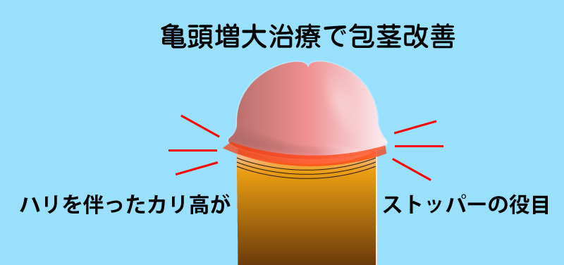 包茎改善にも効果的