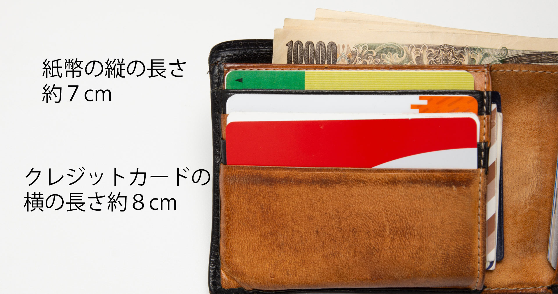 日本人の【平常時】の平均サイズは7～8cm