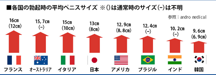アメリカの調査でも日本人のペニスサイズは13cm