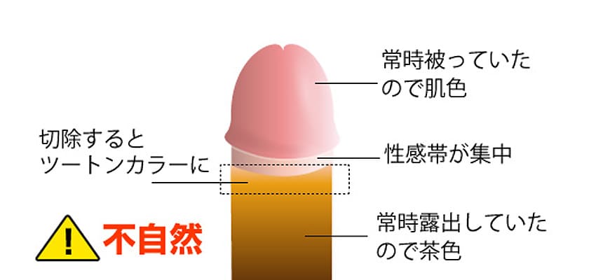 ツートンカラーになって失敗！